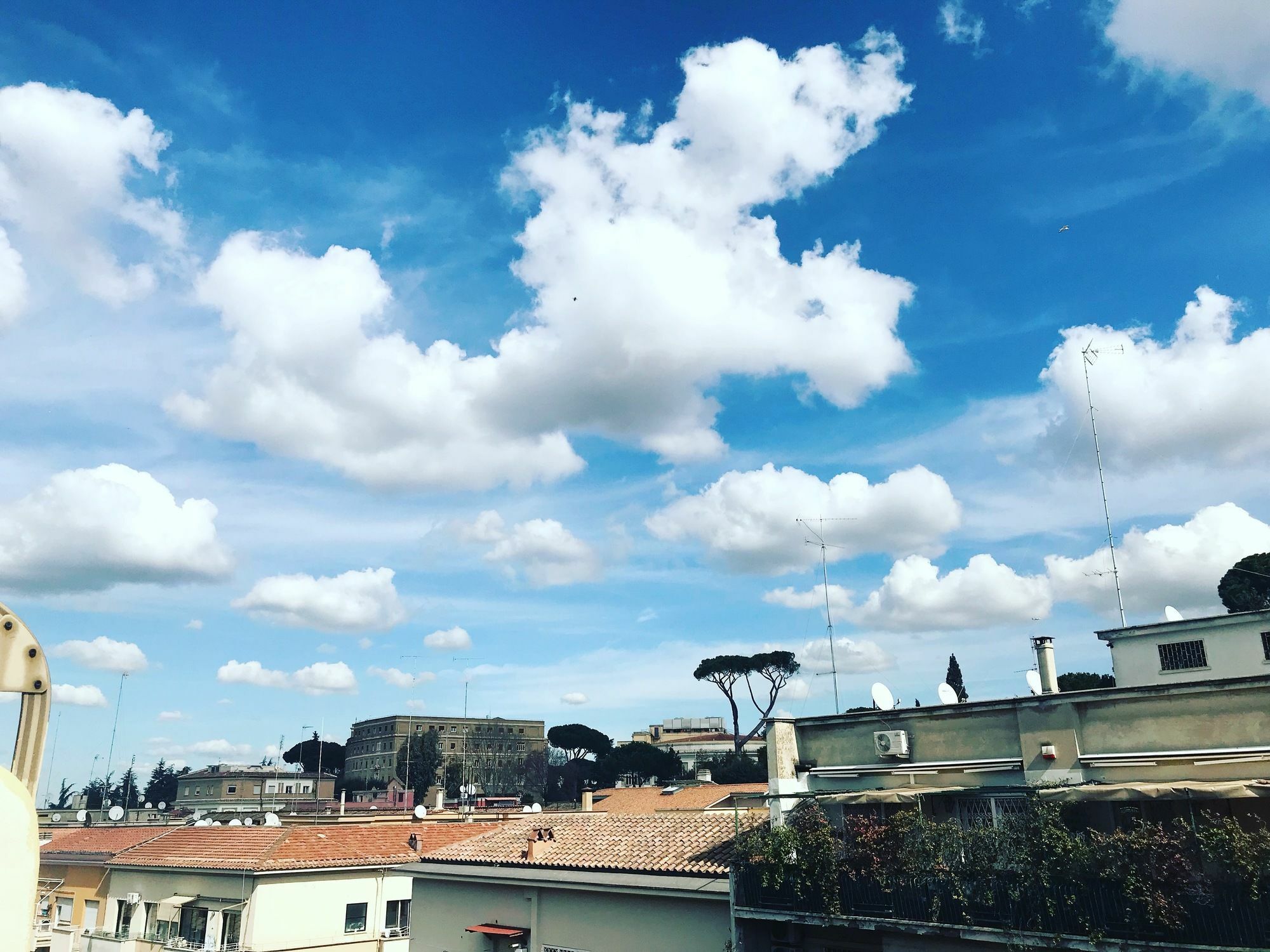 Charming Vatican Roma Eksteriør bilde