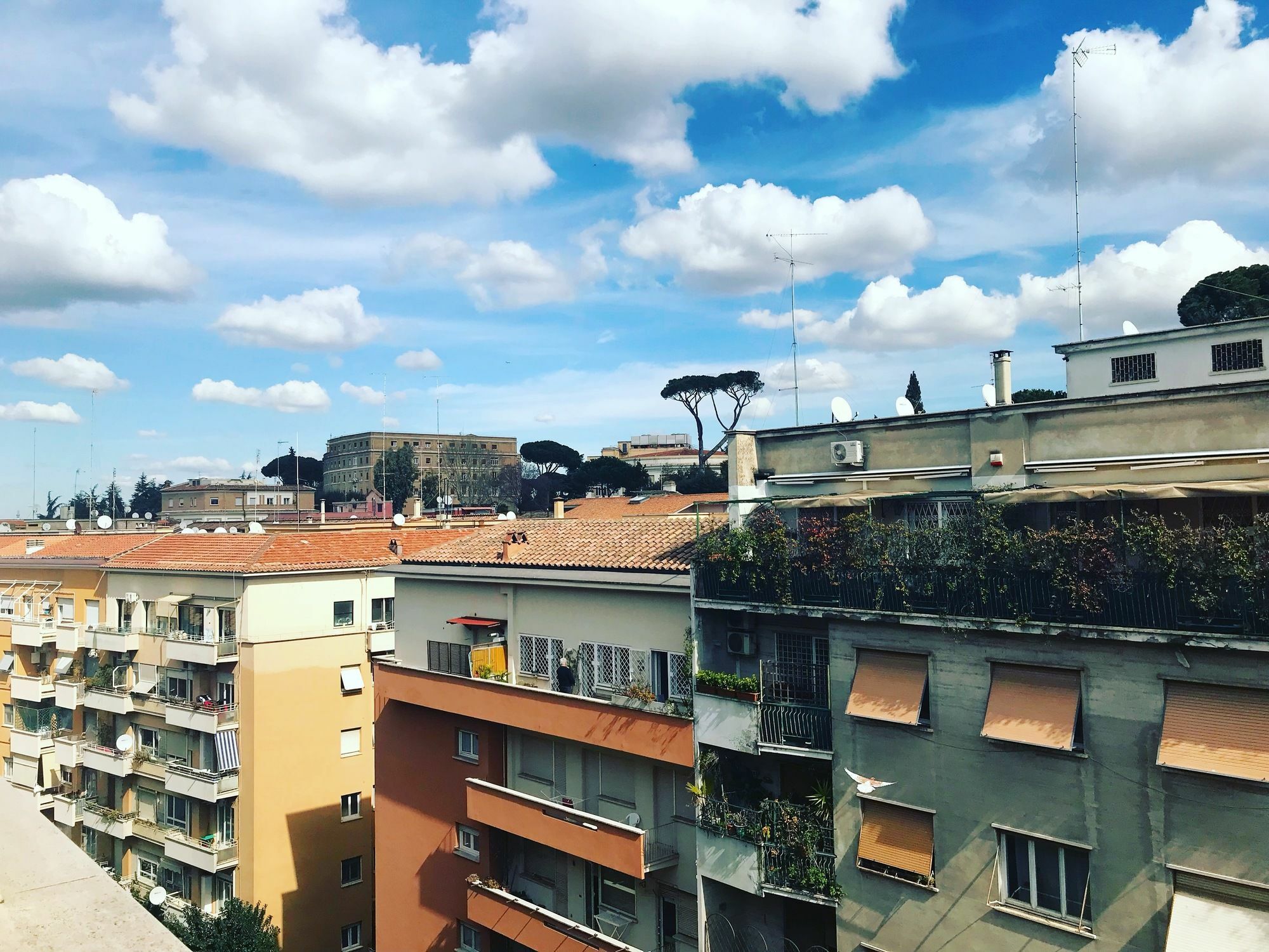 Charming Vatican Roma Eksteriør bilde